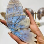 3-pairs-butterfly-wing-carving-with-stand-africa-blood-agate-moonstone-761981