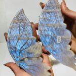 3-pairs-butterfly-wing-carving-with-stand-africa-blood-agate-moonstone-761981