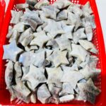 sunstone-mixed-moonstone-star-wholesale-wholesale-crystals-808172